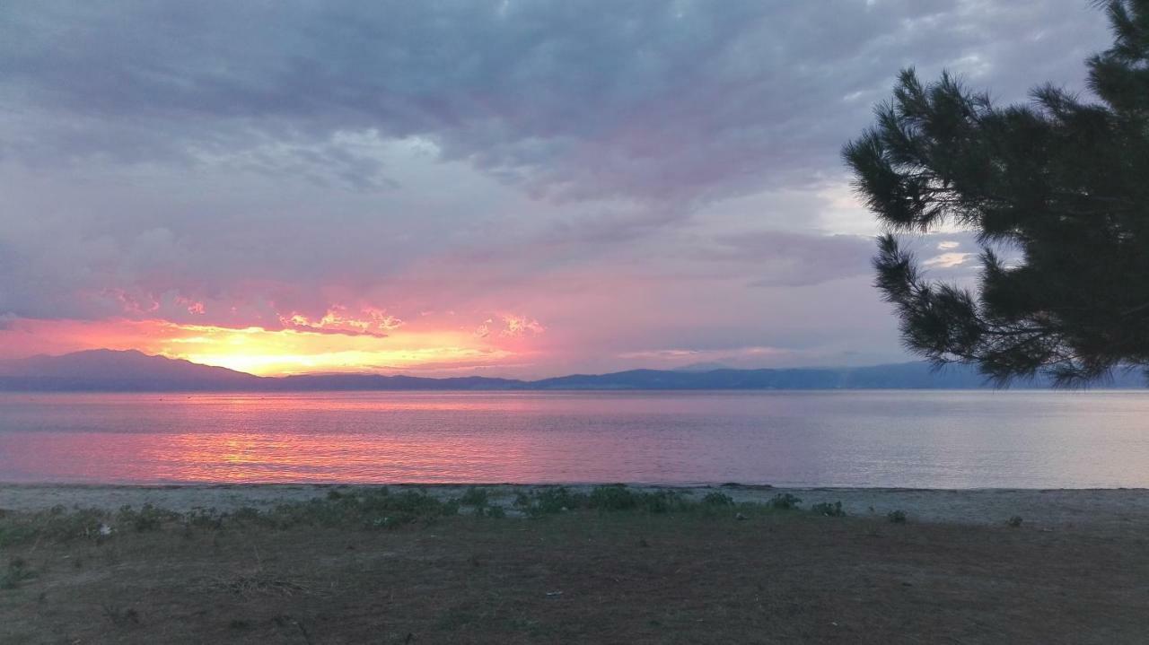 Holiday home Palma Skala Rachoni (Thasos)
